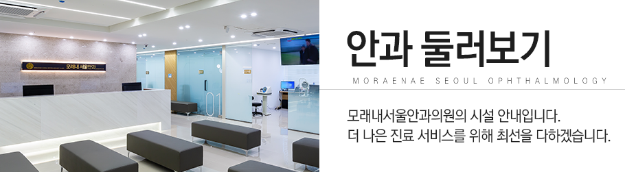 둘러보기