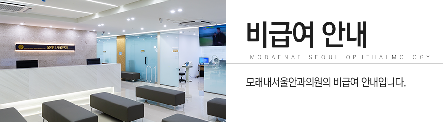 비급여안내